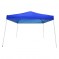 OTLIVE 10x10 Canopy Tent Slant Legs Waterproof Top Portable Pop Up Tents (10x10, Blue)